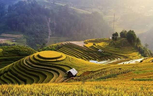 Attractions of Bali & Indonesia