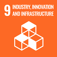 SDG-9